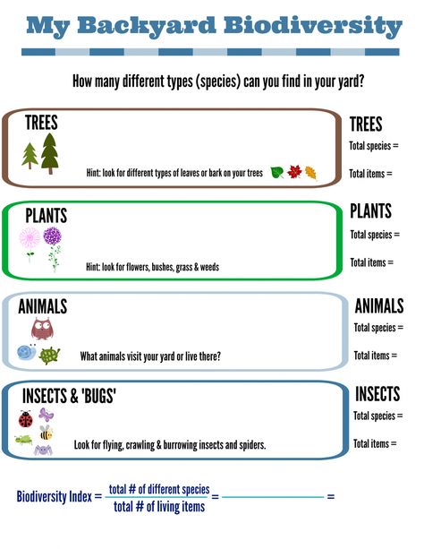 Backyard Science Activity - biodiversity for elementary and middle school Backyard Science, Outdoor Science, 7th Grade Science, Biology Labs, 6th Grade Science, Science Activity, Environmental Education, Science Fair Projects, Outdoor Learning