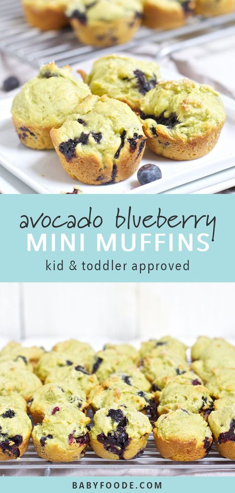 Toddler Mini Muffins, Blueberry Mini Muffins, Yum Snacks, Mini Blueberry Muffins, Toddler Muffins, Healthy Snacks To Buy, Healthy Toddler Snacks, After School Snack, Baby Led Weaning Recipes