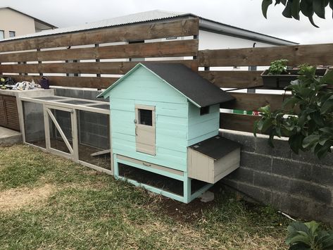 Narrow Chicken Coop, Blue Chicken Coop, Silkie Coop, Backyard Dog Area, Backyard Animals, Blue Chicken, Diy Chicken Coop Plans, Chicken Coop Run, Coop Ideas