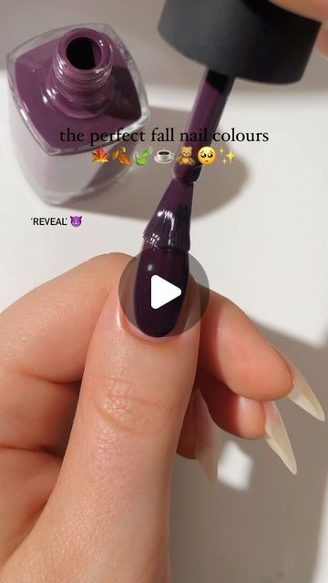 Dark Purple And Orange Nails, Plum Purple Nails, Light Green Nail Polish, Dark Brown Nail Polish, Burnt Orange Nail Polish, Deep Purple Nails, Dark Purple Nail Polish, Deep Red Nail Polish, Light Blue Nail