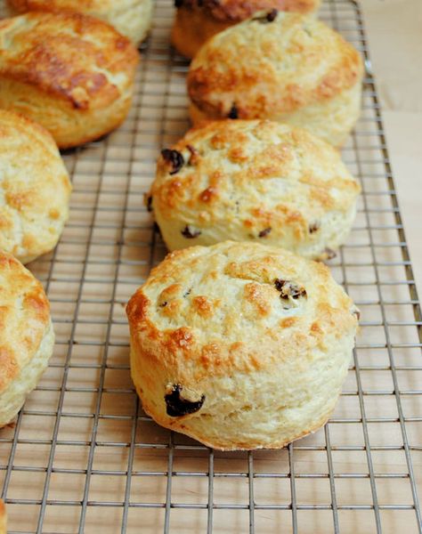 English Scones Recipe, Fruit Scones Recipe, Plain Scones, Raisin Scones, English Scones, Hp Sauce, Fruit Scones, Scones Recipe Easy, Scones Easy