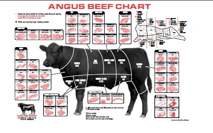 Cuts of Beef details for Chefs including fabrication from primal cuts & descriptions of various types of cuts of steaks. Beef Chart, Beef Cuts Chart, Raising Turkeys, Meat Butcher, Food Beef, Happy Cow, Lunch Food, Angus Beef, Butcher Shop