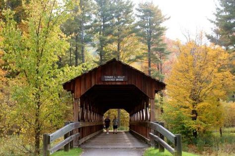 Take the Virtual Tour! - ALLEGANY STATE PARK - QUAKER     Take the Virtual Tour! - ALLEGANY STATE PARK - RED HOUSE    65,000-acre Allegany State Park is known for its primitive, forested valleys, un-glaciated landscape, fall leaves, and wildlife. Allegany State Park, Forest Cabins, Allegheny National Forest, Tennessee Cabins, State Park Cabins, New York State Parks, Letchworth State Park, Forest Cabin, Cabin Vacation