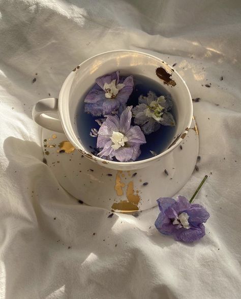 Aesthetic Tea, Tea Flowers, Anting Manik, Flowers Coffee, Lavender Aesthetic, Pretty Drinks, Princess Aesthetic, Trik Fotografi, Flower Tea