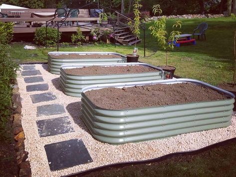 Garden Beds Backyard, Veg Garden Ideas, Tall Raised Garden Beds, Modular Raised Garden Beds, Vego Garden, Common Garden Plants, Bed Build, Raised Bed Garden Design, Raised Garden Bed Kits