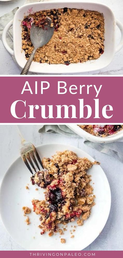 Paleo Berry Crisp, Easy Aip Dessert Recipes, Aip Apple Crumble, Aip Blackberry Recipes, Aip Diet Recipes Dinners, Aip Apple Crisp, Aip Carbs, Easy Paleo Desserts, Aip Fruit