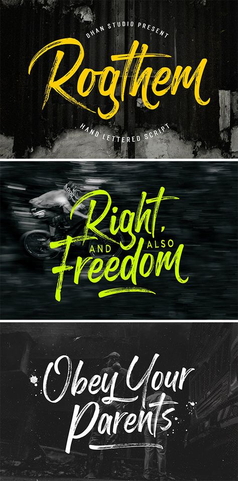 60 Best Brush Fonts For Graphic Designers - 3 Brush Script Fonts, Best Script Fonts, Modern Script Font, Graphic Design Blog, Free Script Fonts, Font Graphic, Best Brushes, Brush Script, Font Inspiration