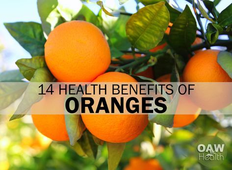 As one of the fruits with the most vitamin C, the health benefits of oranges are many. Check out the top 14 health benefits of oranges. Benefits Of Oranges, Oranges Benefits, Drinking Lemon Water, Digestive Juice, Health Is Wealth, Lemon Benefits, Fruit Benefits, Improve Heart Health, Citrus Fruits