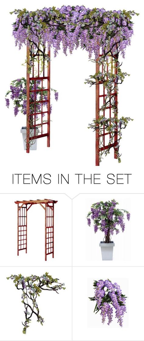 Wisteria Potted, Wisteria In A Pot, Garden Wisteria, Wisteria Trellis, Wisteria Arbor, Wisteria Pergola, Wisteria Garden, Arch Trellis, Wisteria Tree