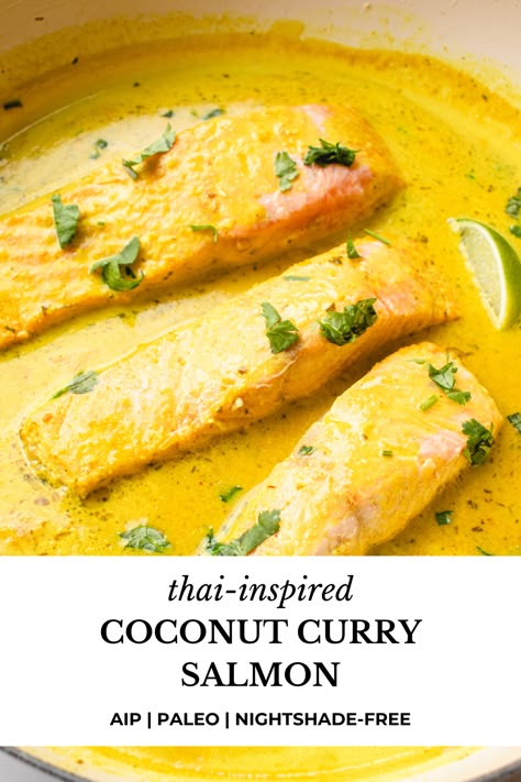 Aip Recipes Soup, Aip Thai Recipes, Aip Salmon Recipes, Aip Curry Recipes, Aip Indian Recipes, Aip Fish Recipes, Aip Seafood Recipes, Aip Curry, Auto Immune Protocol Diet