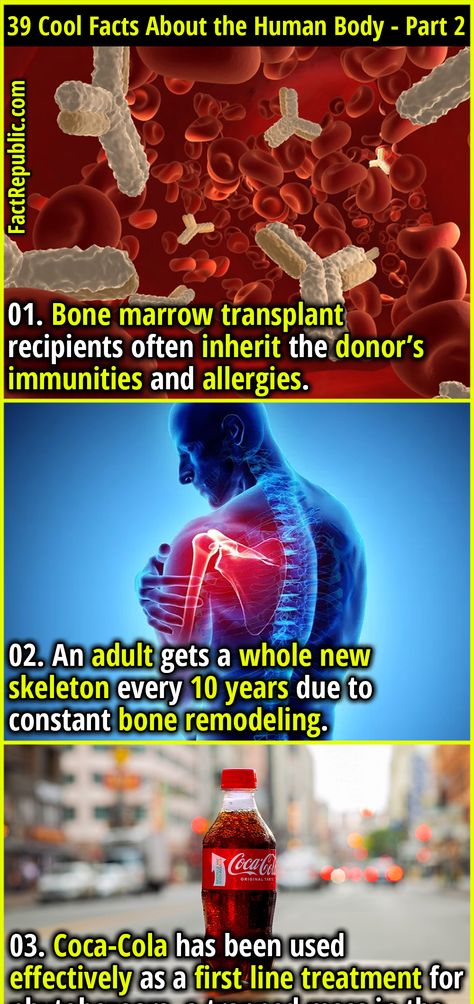 39 Cool Facts About the Human Body That’ll Just Blow Your Mind - Part 2 - Fact Republic Terrifying Facts, Interesting Facts About Humans, Disturbing Facts, Science Facts Mind Blown, Fun Facts Mind Blown, Body Facts, Human Body Facts, Facts About Humans, Fact Republic