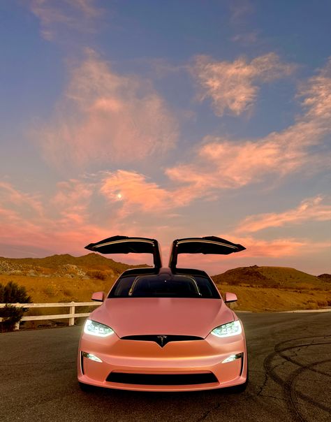 Pink Tesla Car, Tesla Model X Plaid, Pearl 2022, Pink Tesla, Tesla Aesthetic, Dr Car, Tesla X, Chevy Bolt, Pink Cars