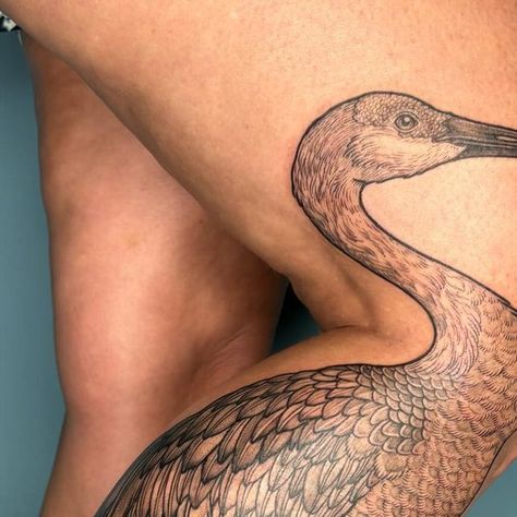 Maggie on Instagram: "Sandhill crane, such a fun placement ☺️ Thank you so much Kari, and for making the trip from FL !" Sandhill Crane Tattoo, Crane Tattoo, Sandhill Crane, July 31, The Trip, Thank You So Much, Thank You, Tattoos, On Instagram