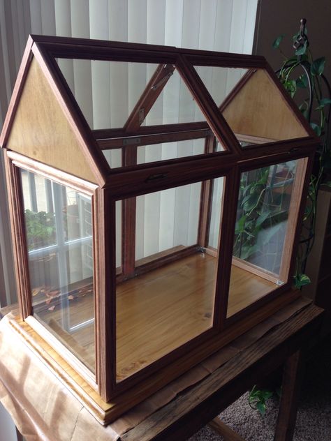 My dad and I built a tabletop greenhouse out of picture frames! I'm beyond proud! Diy Tabletop Greenhouse, Table Top Greenhouse, Picture Frame Greenhouse, Tabletop Greenhouse, Porch Greenhouse, Unique Garden Decor, Best Greenhouse, Diy Table Top, Indoor Greenhouse