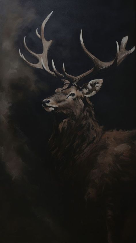 Deer wildlife animal antler. | premium image by rawpixel.com Red Deer Aesthetic, Deer Painting Acrylic, Stag Photography, Stag Wallpaper, Deer Aesthetic, Animal Body Parts, Deer Painting, Wildlife Artists, Red Deer