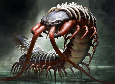 Spinal Centipede by Zezhou Ant Monster, Rpg Map, Dnd Monsters, Fantasy Beasts, Monster Concept Art, Insect Art, Arthropods, Fantasy Monster, Monster Design