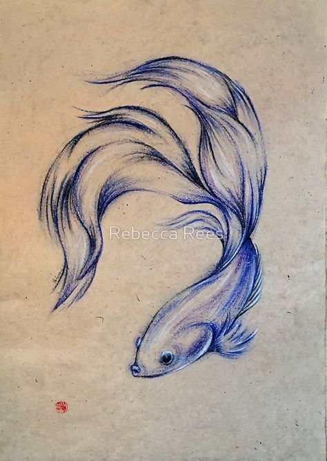 "Blue Angel - Siamese Fighting Fish Oil pastel on Paper Drawing" by Rebecca Rees | Redbubble Siamese Drawing, Experiment Drawing, Manga Drawings, Drawing Blue, Fish Drawing, Ikan Koi, Angel Blue, Animal Drawing, Blue Angel