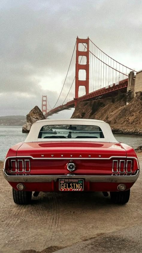 Red Ford Mustang Convertible, Mustang Vintage Aesthetic, Old Mustang Wallpaper, Old Mustang Cars Wallpapers, Car Wallpaper Mustang, Red Mustang 1969, Old Mustang 1969, Red Mustang Aesthetic, Mustang Aesthetic