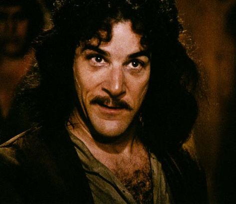 Princess Bride Inigo Montoya, Famous Fictional Characters, Princess Bride Movie, Dylan Moran, Dread Pirate Roberts, Mandy Patinkin, Inigo Montoya, Dental Exam, Favourite Quote