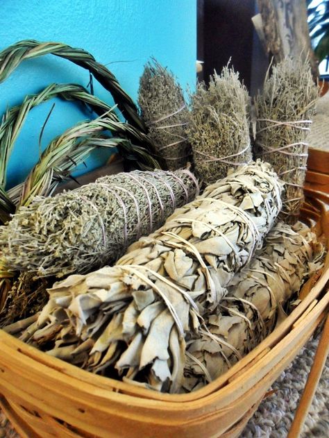 native american uses for sage | sage used by the Native Americans? Considered a sacred herb by Native ... Sacred Herbs, Native Culture, Native American Wisdom, Native American Traditions, Native American Peoples, Native American Heritage, American Indian Art, Native American Tribes, Indian History