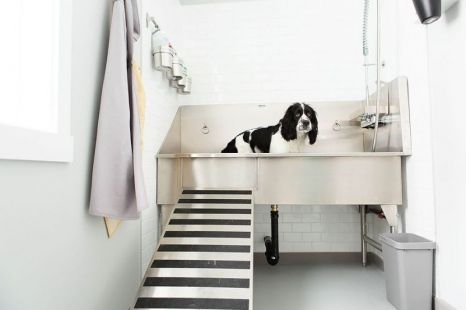 Dog Bathing Tips, Dog Grooming Station, Dog Showers, Dog Baths, Dog Bathing Station, Dog Tub, Bathing Tips, Dog Wash Station, Grooming Station