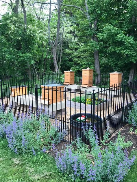 Raised Flowerbed, Hive Stands, Apiary Design, Bee Hive Stand, Hive Stand, Pollinator Garden Design, Honey Bee Garden, Bee Hive Plans, Backyard Bee