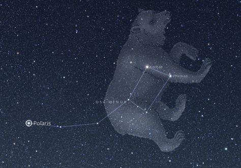 Constelación Osa Menor, en la cola la estrella Polaris o estrella del norte, la que siempre brilla. Ursa Minor, Healing Journaling, Big Dipper, Constellation Tattoos, Anime Best Friends, Astronomy, Constellations, Art Lessons, Cosmos