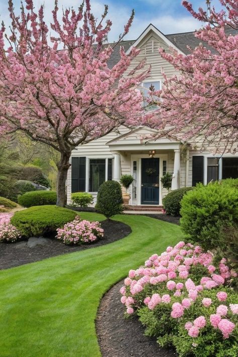 Easy Plants For Front Of House, Front Garden Shrubs, Shrubs In Front Of House, Bushes In Front Of House, Dogwood Shrub, Spirea Shrub, Cape Cod Cottage, House Front Porch, Porch Entry