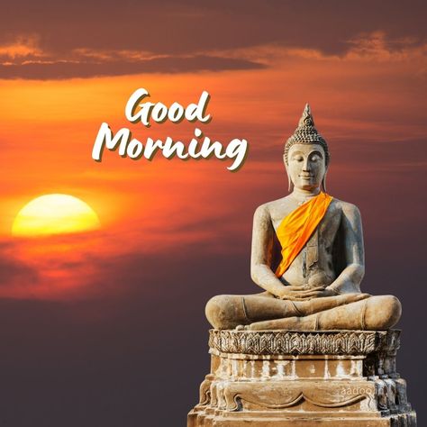 Good Morning Buddha Images, Buddha Good Morning Images, Good Morning Images Buddha, Buddha Images, Gautam Buddha Images Mobile, 
aadoo.in Good Morning Buddha Images, Good Morning Buddha, Gautam Buddha Image, Gautam Buddha, Thoughts In Hindi, Download Wallpaper Hd, Image 3d, Buddha Image, Reasons To Smile