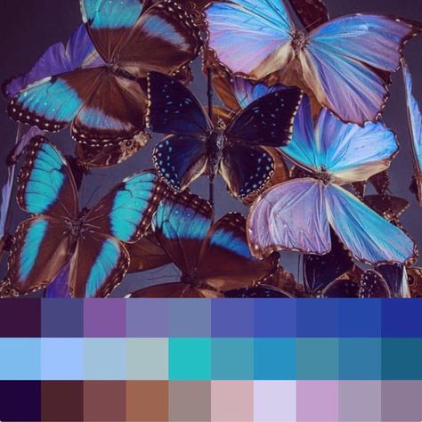 Leah on Instagram: “Butterfly palette. Butterflies by Jurgen Birchler from @botanicaetcetera. #blueandpurple #butterfly #artinspiration #colorpalette…” Butterfly Color Scheme, Butterfly Colour Palette, Butterfly Color Palette, Butterfly Moodboard, Butterfly Concept, Butterfly Palette, Butterfly Story, Junk Kouture, Mermaid Bathroom