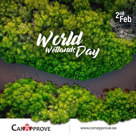 #WorldWetlandsDay #WorldWetlandsDay2022 #wetlands #nature #birds #wildlife #bird #conservation #water #naturelovers #wetland #landscape #wetlandsconservation #outdoors #bhfyp #canapproveuae Wetland Landscape, World Wetlands Day, Nature Birds, Creative Ads, Herbs, Birds, Canning, Water, Quick Saves