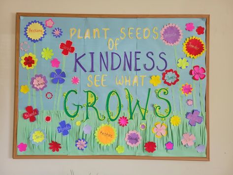 Kindness Display Board, March Kindness Bulletin Board, Seeds Of Kindness Bulletin Board, Bulletin Board Kindness, Kindness Week Bulletin Board, Spring Counseling Bulletin Board, Plant Kindness Bulletin Board, Plant Seeds Of Kindness Bulletin Board, Kindness Door