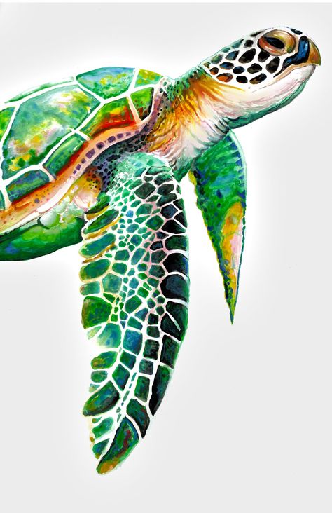 11X17 high quality print that is hand signed by the artist. This print is an exact copy of the original art, created with watercolor, acrylic paint, and colored pencils. Watercolour Turtle, Painted Turtles, Turtle Sketch, Carved Gourds, Sea Turtle Watercolor, Jellyfish Decorations, Sea Turtle Painting, Turtle Watercolor, Baby Sea Turtles