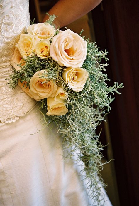 Cream roses, with a cascade of Spanish moss. Spanish Moss Wedding Bouquet, Spanish Moss Bouquet, Spanish Moss Wedding Decor, Interesting Bouquets, Moss Centerpiece Wedding, Spanish Moss Wedding, Josie Wedding, Styles Of Wedding Dresses, Wedding Alter