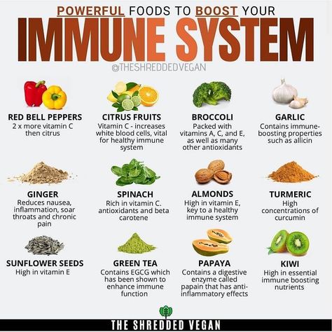 Daily Nutrition Fact on Instagram: “💥..IMMUNE SYSTEM BOOST..💥 You can strengthen your immune system by feeding your body certain foods. The most powerful immune boosting foods…” Immune Boosting Foods, Boost Your Immune System, Boost Immune System, Healing Food, Immune Health, Keto Meal Plan, Smoothie Diet, Keto Diet Recipes, Health Remedies