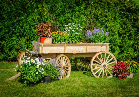 If you're into country style looking scenery, then this rustic garden wagons page will inspire you to add a great look to your garden or backyard. Ideas Para Decorar Jardines, Wagon Ideas, Rustic Garden Design, Outdoor Wagon, Wagon Planter, Gazebo Decorations, Farm Wagons, Garden Wagon, Old Wagons