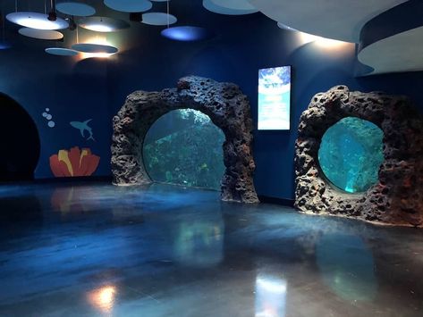 Mississippi Aquarium, Aquarium Entrance, Mermaid Aquarium, Mystic Aquarium, Otis Elevator, Exhibition Museum, Public Aquarium, Map Ideas, Mystic Ct