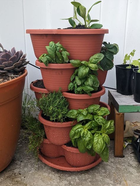 Maximize your garden space with our 5-Layer Stackable Planter! Perfect for nurturing blueberries, herbs, vegetables, succulents, and flowers in a compact, vertical layout. This unique garden tower not only makes gardening practical but also adds a stunning aesthetic to any space. The sky's the limit with our 5-tier tower. Click to see how our stackable planter can transform your gardening game and turn any corner into a thriving, vertical green oasis. Stacked Vegetable Garden, Stackable Garden Planters, Vertical Garden Tower, Herb Tower, Ad Apartment, Potting Area, Stackable Garden, Plant Tower, Stackable Planters