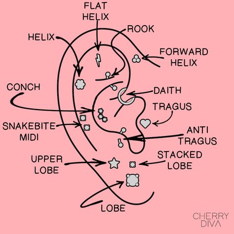 Pircing Ears Girl, Ear Piercing Spots, Piercing Spots, Getting Your Ears Pierced, Mouth Piercings, Different Ear Piercings, Men's Piercings, Ear Piercings Chart, Piercing Chart