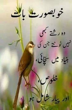 Good Night Dua In Urdu, Good Night Dua, Night Dua, Married Life Quotes, Dua In Urdu, Urdu Funny Poetry, Love Romantic Poetry, Morning Prayer Quotes, Assalamualaikum Image