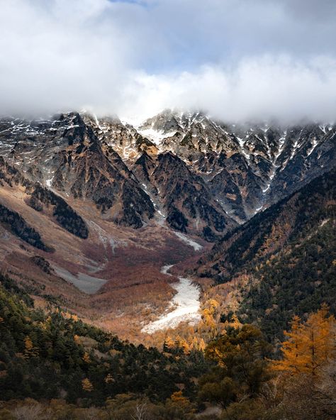 The Nature Lover’s Guide to the Japanese Alps — Ben Richards Japanese Alps, Snow Monkeys, Meiji Shrine, Japan Itinerary, Torii Gate, Visit Japan, Sacred Places, Beautiful Sights, Cultural Experience