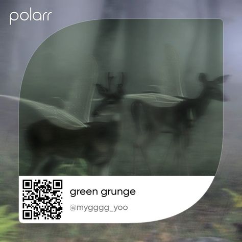 Green Pollar Code, Grunge Filter Instagram, Green Filter Aesthetic, Cheengu Vintage, Green Polarr Filter, Fairy Code, Capcut Colouring, Polarr Filters Code, Green Filter