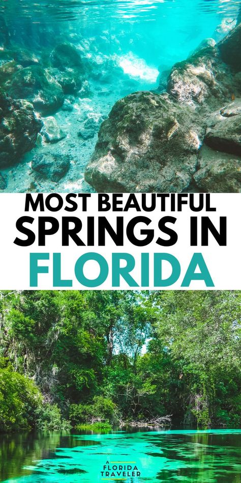 Natural Springs In Florida, Family Tropical Vacation, Springs In Florida, Best Beach In Florida, Florida Family Vacation, Florida Travel Guide, Florida State Parks, Florida Springs, North Florida