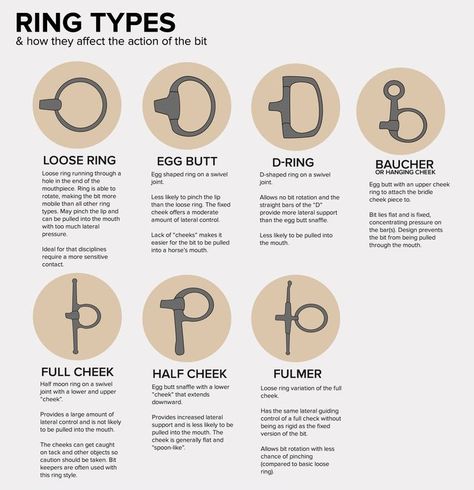 Types Of Bits For Horses, Types Of Horse Bits, Horse Bits Types Of, Bits For Horses, Ring Types, Horses Funny, Horse Age, Horse Farm Ideas, Horseback Riding Tips