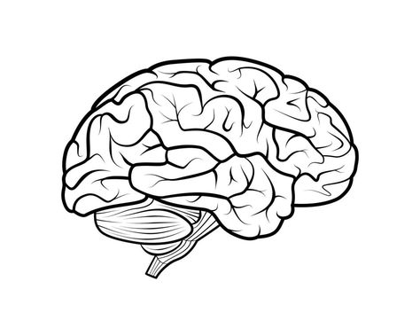 How To Draw A Brain, Brain Drawing Simple, Draw A Brain, Brain Outline, Inside Drawing, Brain Drawing, Graphic Drawing, Tree Saw, Heart Tree