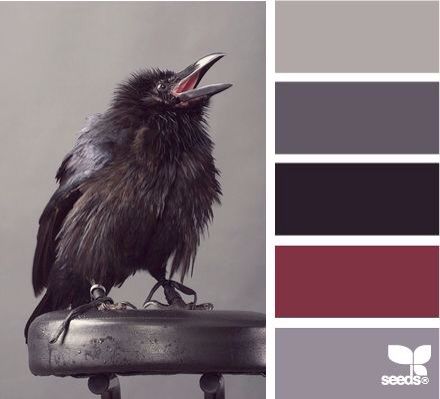 Lovely dark colors... Makes me think of Edgar Allen Poe Design Seeds, Colour Board, Color Textures, Colour Schemes, Color Pallets, Color Swatches, Color Theory, Color Themes, Black Bird