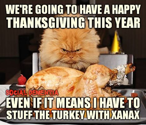 Funny Thanksgiving Memes, Thanksgiving Meme, Diet Meme, Xavier Rudd, Caught Cheating, Diet Humor, Cheat Day, Angry Cat, Cats Funny