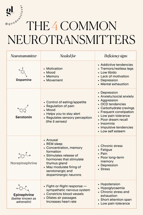 How The Brain Works Psychology, Feel Good Hormones, How To Retrain Your Brain, Healing The Brain, Neurotransmitters And Mental Health, Neurotransmitters Dopamine, Regulate Nervous System, Psychological Diseases, Function Of The Heart