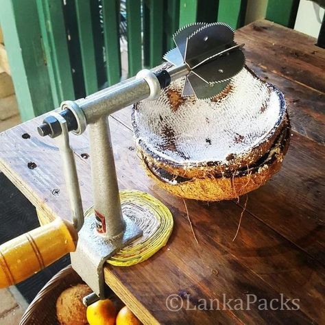 Coconut Scraper, Coconut Grater, Fresh Coconut, Perfect Kitchen, Coconut Recipes, Kitchen Utensil, Coconut Shell, Work Surface, Kitchen Hacks