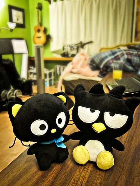 Chococat and Badtz- Hello Kitty characters Badtz Maru And Chococat, Badz Maru, Hello Kitty Characters, Badtz Maru, Boy Cat, Comic Style Art, Kitty Wallpaper, Cute Plush, Sanrio Characters